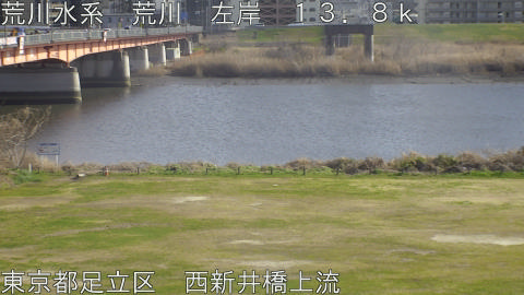 arani2026030715_image