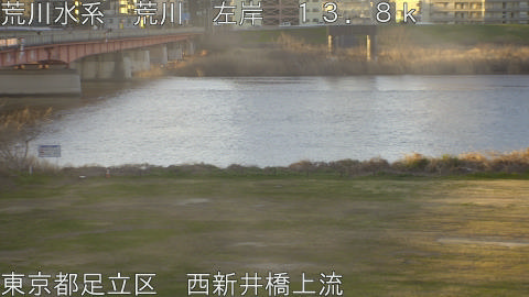 arani2026030807_image