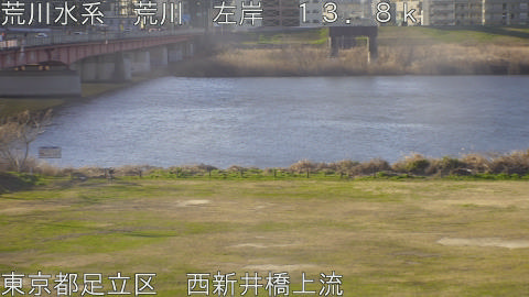 arani2026030808_image