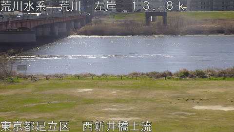 arani2026030811_image