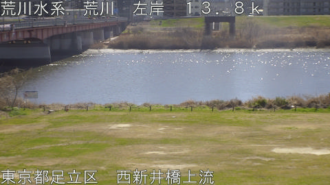 arani2026030812_image