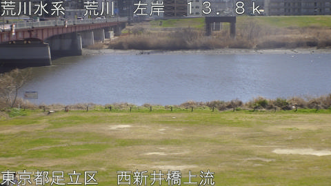 arani2026030813_image