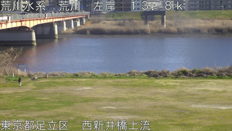 arani2026030816_image