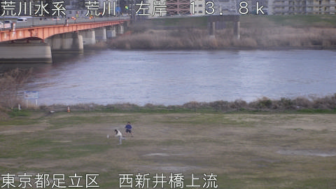 arani2026030818_image