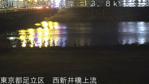 arani2026030821_image