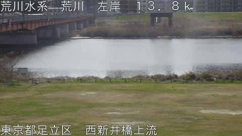 arani2026030911_image