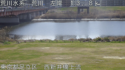 arani2026030912_image