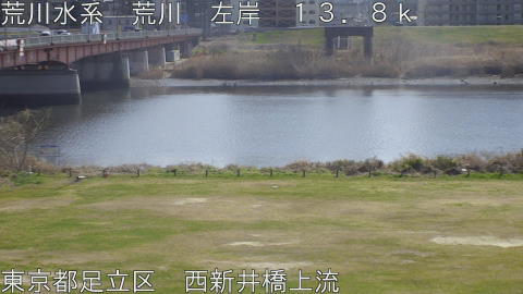 arani2026030913_image