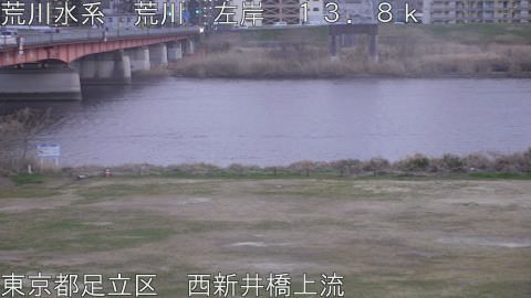 arani2026030918_image