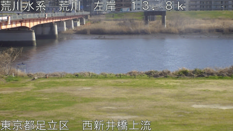 arani2026031015_image