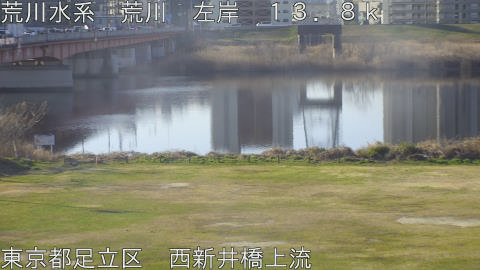 arani2026031108_image