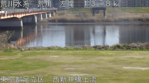 arani2026031115_image