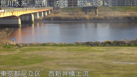 arani2026031117_image