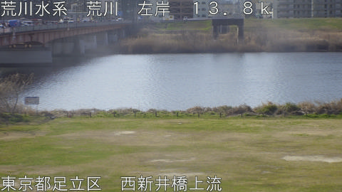 arani2026031209_image