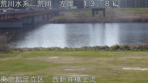 arani2026031210_image