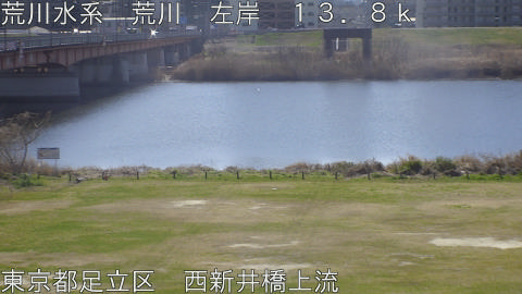 arani2026031211_image