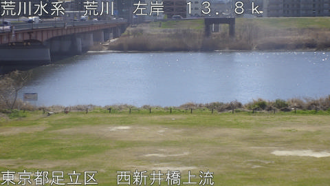 arani2026031212_image