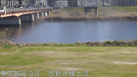 arani2026031215_image