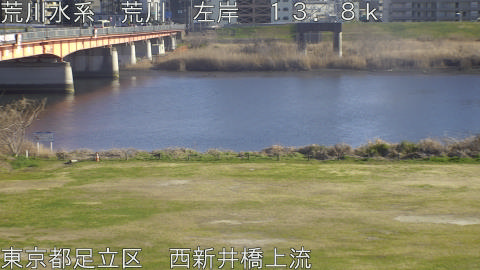 arani2026031216_image