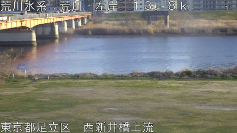 arani2026031217_image