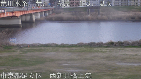 arani2026031218_image