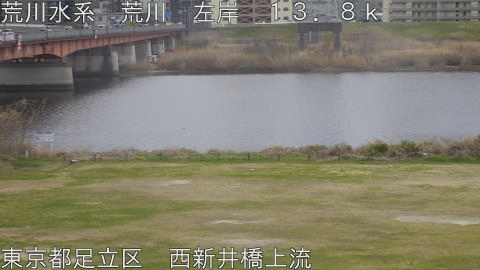 arani2026031313_image