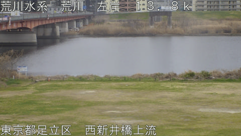 arani2026031314_image