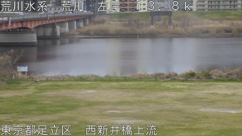 arani2026031316_image