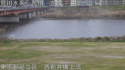 arani2026031317_image