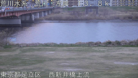 arani2026031318_image