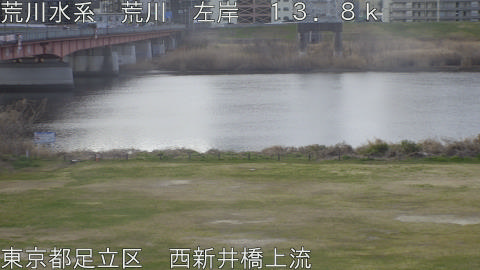 arani2026031408_image