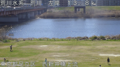 arani2026031411_image