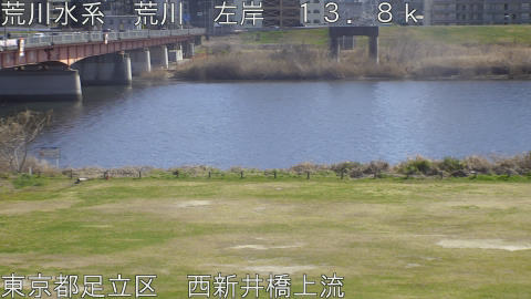 arani2026031414_image