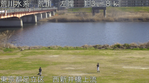 arani2026031415_image