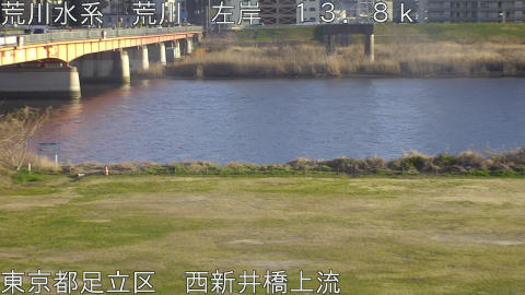 arani2026031417_image