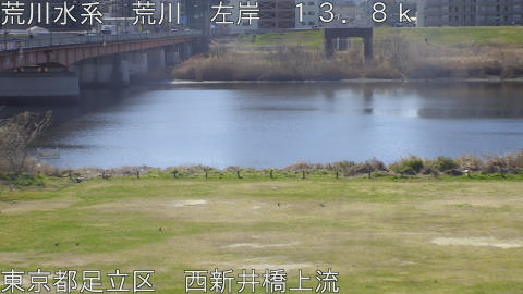 arani2026031510_image