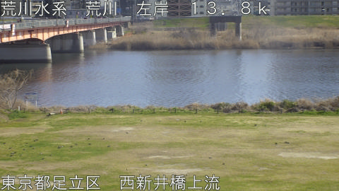 arani2026031515_image