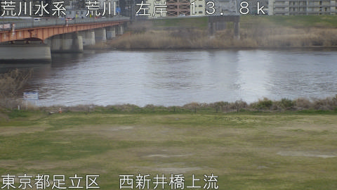 arani2026031517_image