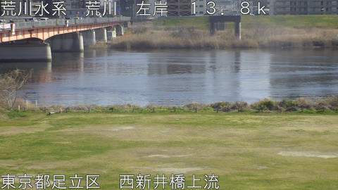 arani2026031615_image