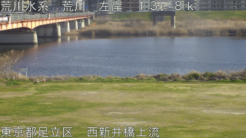 arani2026031616_image