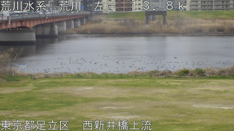 arani2026031709_image