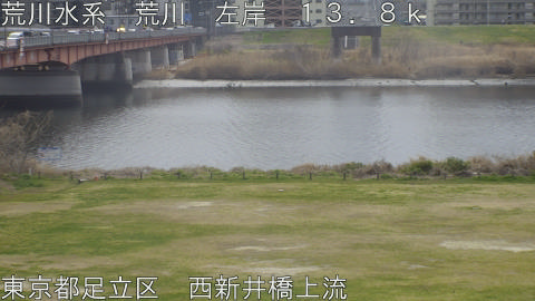 arani2026031712_image