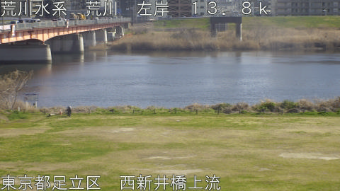 arani2026031715_image