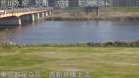 arani2026031716_image