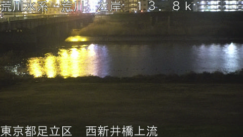 arani2026031723_image