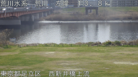 arani2026031811_image