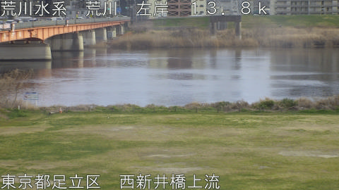 arani2026031817_image