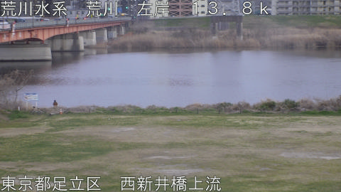 arani2026031818_image