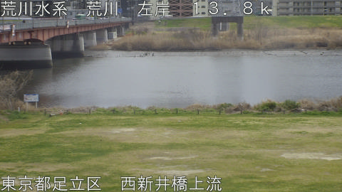 arani2026031913_image