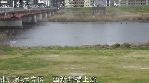 arani2026031914_image